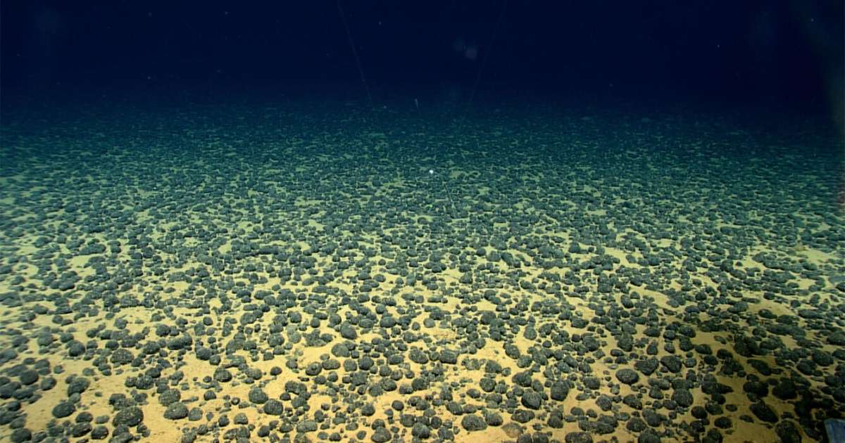 Sediment scoops and push core samples were collected from a depth of approximately 5,140 meters for scientific assessment. (Credit: USGS)