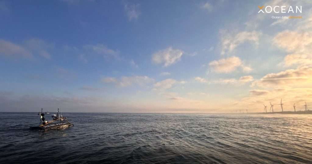 (Image credit: XOCEAN)