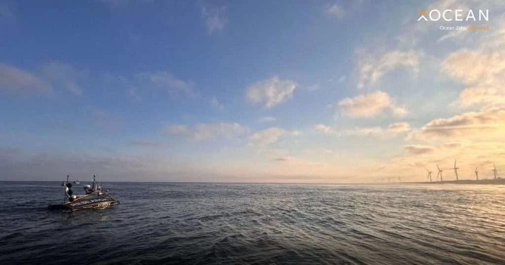 (Image credit: XOCEAN)