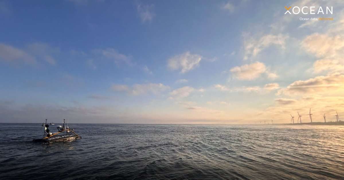 (Image credit: XOCEAN)